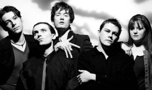 Pulp photo