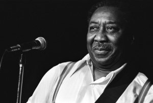 Muddy Waters photo