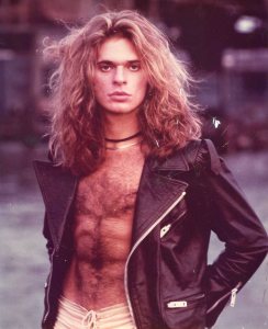 David Lee Roth photo