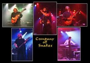 The Company Of Snakes photo The Company Of Snakes photo