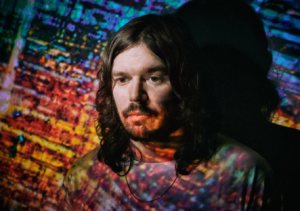 Bibio photo