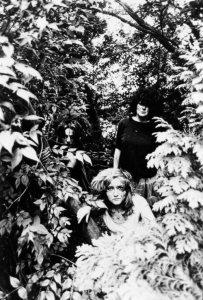 The Slits photo