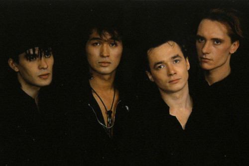 Кино (Kino) photo Кино (Kino) photo