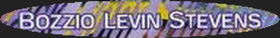 Bozzio Levin Stevens logo