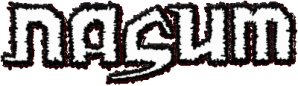 Nasum logo