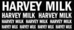 Harvey Milk logo