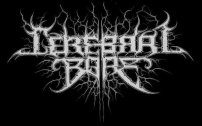 Cerebral Bore logo