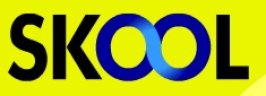 스쿨 (SKOOL) logo