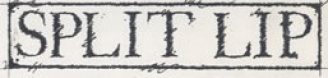 Split Lip logo Split Lip logo
