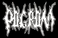 Pogrom logo Pogrom logo