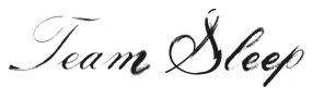 Team Sleep logo Team Sleep logo