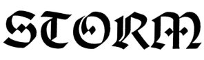 Storm logo Storm logo