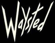 Waysted logo