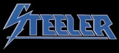 Steeler logo