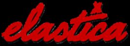 Elastica logo