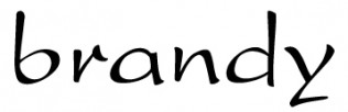 Brandy logo