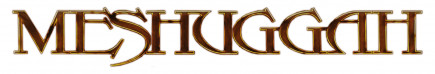 Meshuggah logo