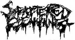 Scattered Remnants logo