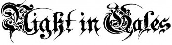 Night in Gales logo
