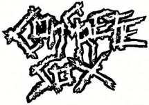 Concrete Sox logo Concrete Sox logo