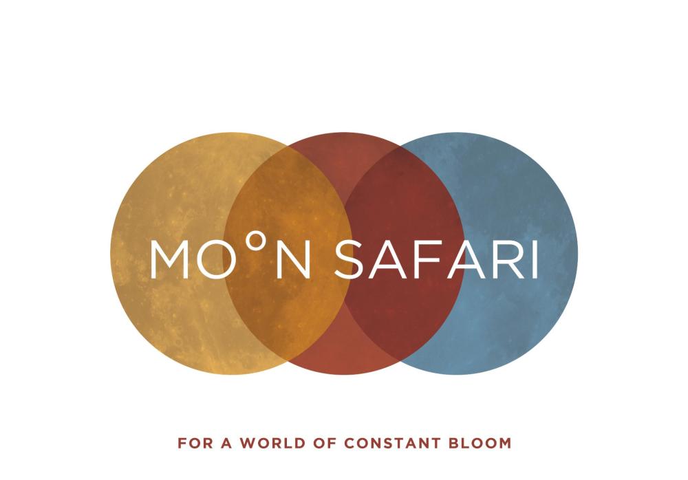 Moon Safari