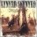 Lynyrd Skynyrd - The Last Rebel