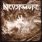 Nevermore - Dreaming Neon Black