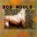 Bob Mould - The Last Dog and Pony Show