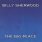 Billy Sherwood - The Big Peace