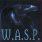 W.A.S.P. - Still Not Black Enough
