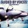 Guided by Voices - Isolation Drills Guided by Voices - Isolation Drills