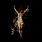 Profanatica - Disgusting Blasphemies Against God