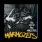 Marmozets - The Weird and Wonderful Marmozets