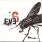 Eve 6 - Eve 6