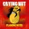 Crying Nut - Flaming Nuts