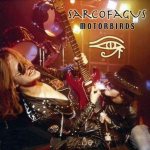 Motorbirds