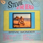 Stevie at the Beach