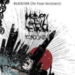 Bildersturm – Iconoclast II (The Visual Resistance)