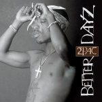 Better Dayz