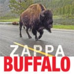 Buffalo