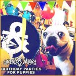 Birthday Parties for Puppies