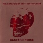 The Analysis of Self-Destruction