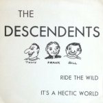 Ride the Wild / It's a Hectic World