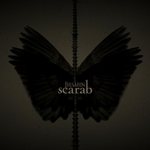 Scarab