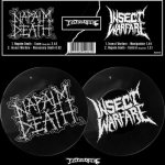 Napalm Death / Insect Warfare