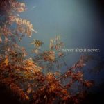 Never Shout Never.
