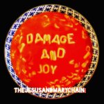 Damage and Joy