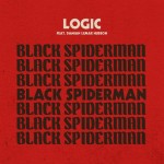 Black SpiderMan