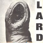 The Power of Lard