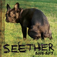 Seether: 2002–2013